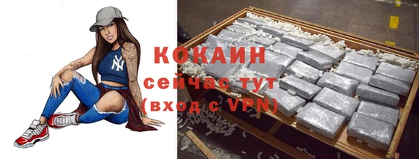 эйфоретик Арсеньев