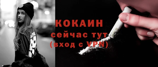 эйфоретик Арсеньев