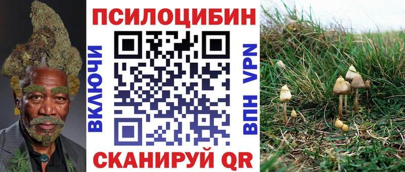 Псилоцибиновые грибы прущие грибы  Купить где  Нефтеюганск 